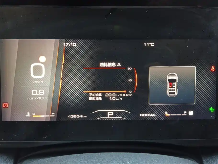 Haval Big Dog 2022 1.5T DCT FWD Border Collie Edition фото 14
