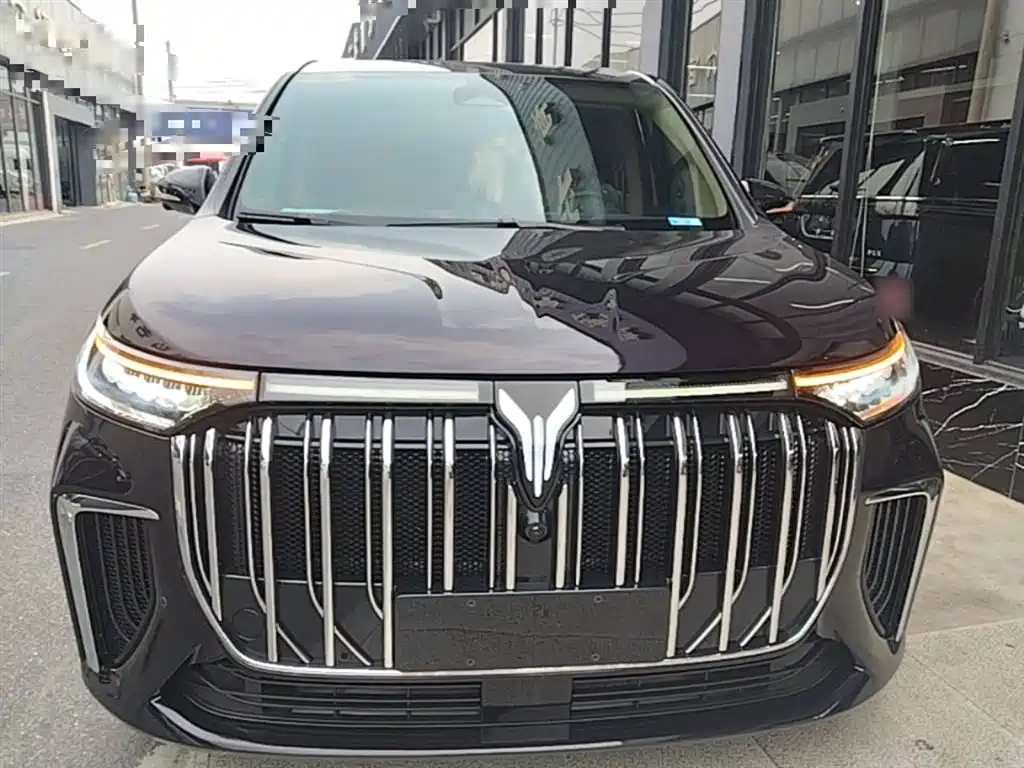 Voyah Auto Voyah Dreamer 2024 PHEV Extended Range Flagship Edition фото 3