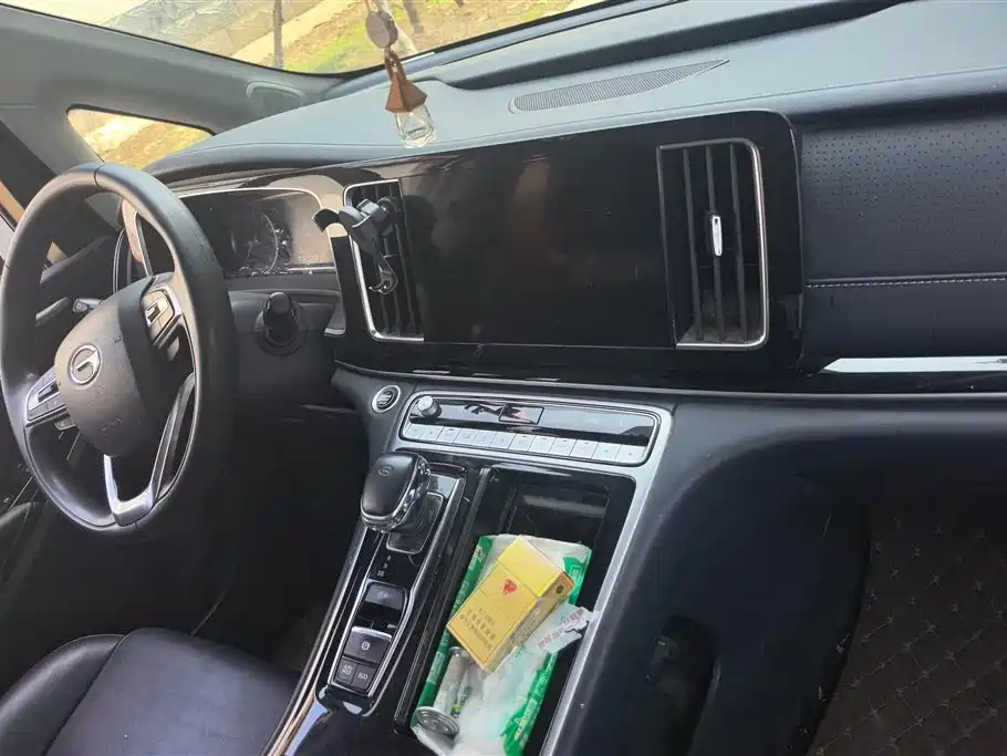 GAC Trumpchi Trumpchi M8 2021 Leading Show Series 390T Luxury Edition фото 13