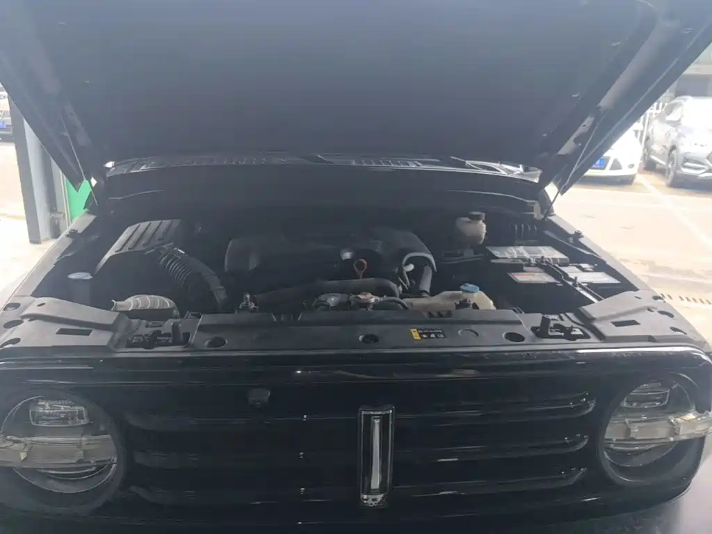Tank 300 2021 2021 Off-road Edition 2.0T Challenger