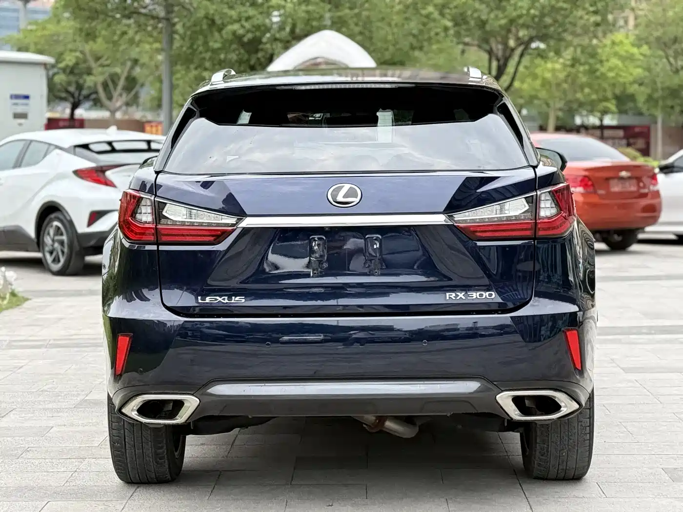 Lexus RX 2016 300 4WD Elegance Edition (China V) фото 3