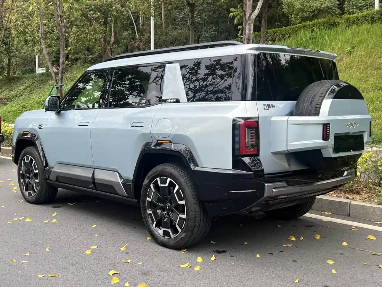 FANG CHENG BAO LEOPARD 8