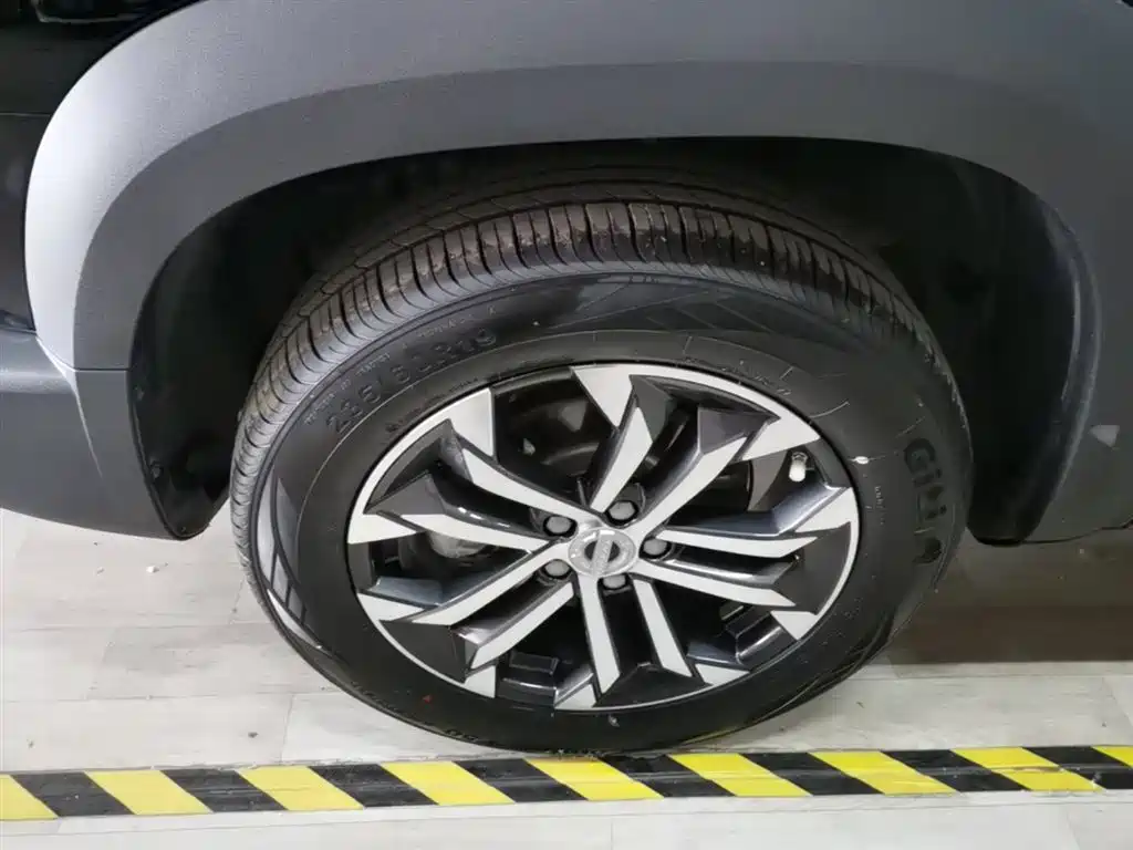Haval Big Dog 2022 1.5T DCT FWD Border Collie Edition фото 23