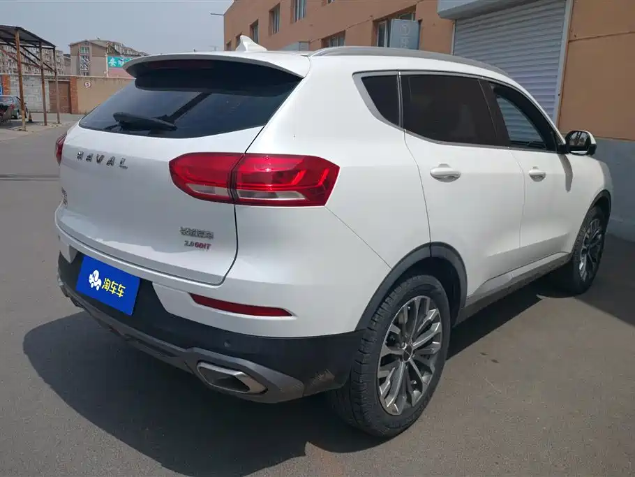 Haval H6 2020 2.0GDIT Automatic Platinum Champion Edition фото 3