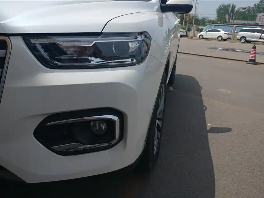 Haval H6 2020 2.0GDIT Automatic Platinum Champion Edition фото 5