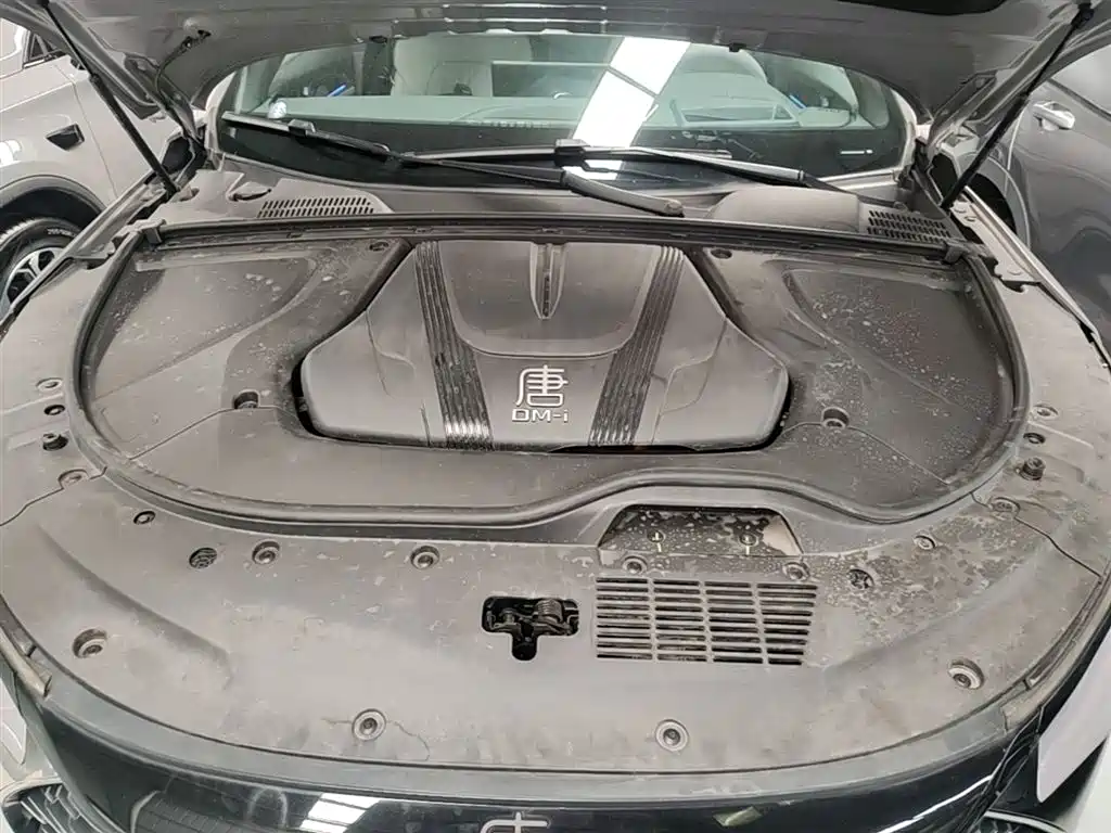BYD Tang New Energy 2025 Smart Driving Edition DM-i 115KM Flagship фото 20