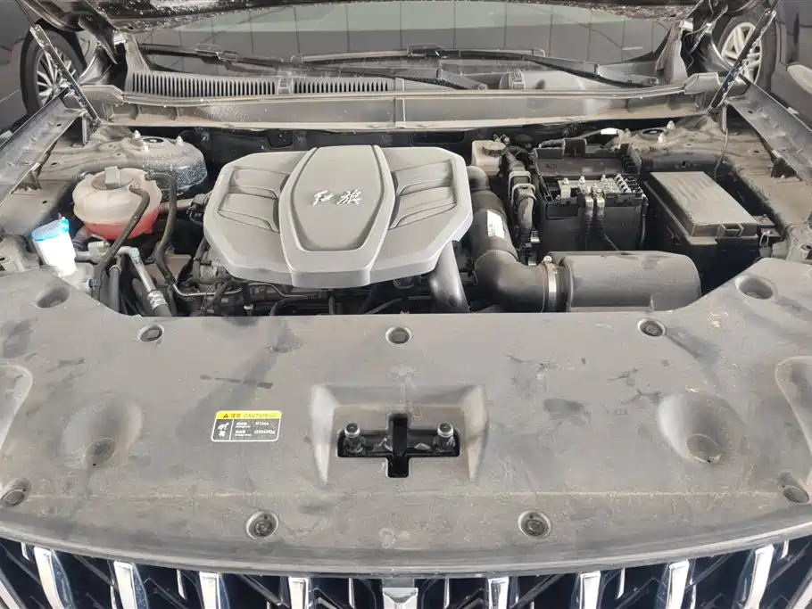 Hongqi HS5 2023 2.0T 4WD Flag Leader Pro фото 10