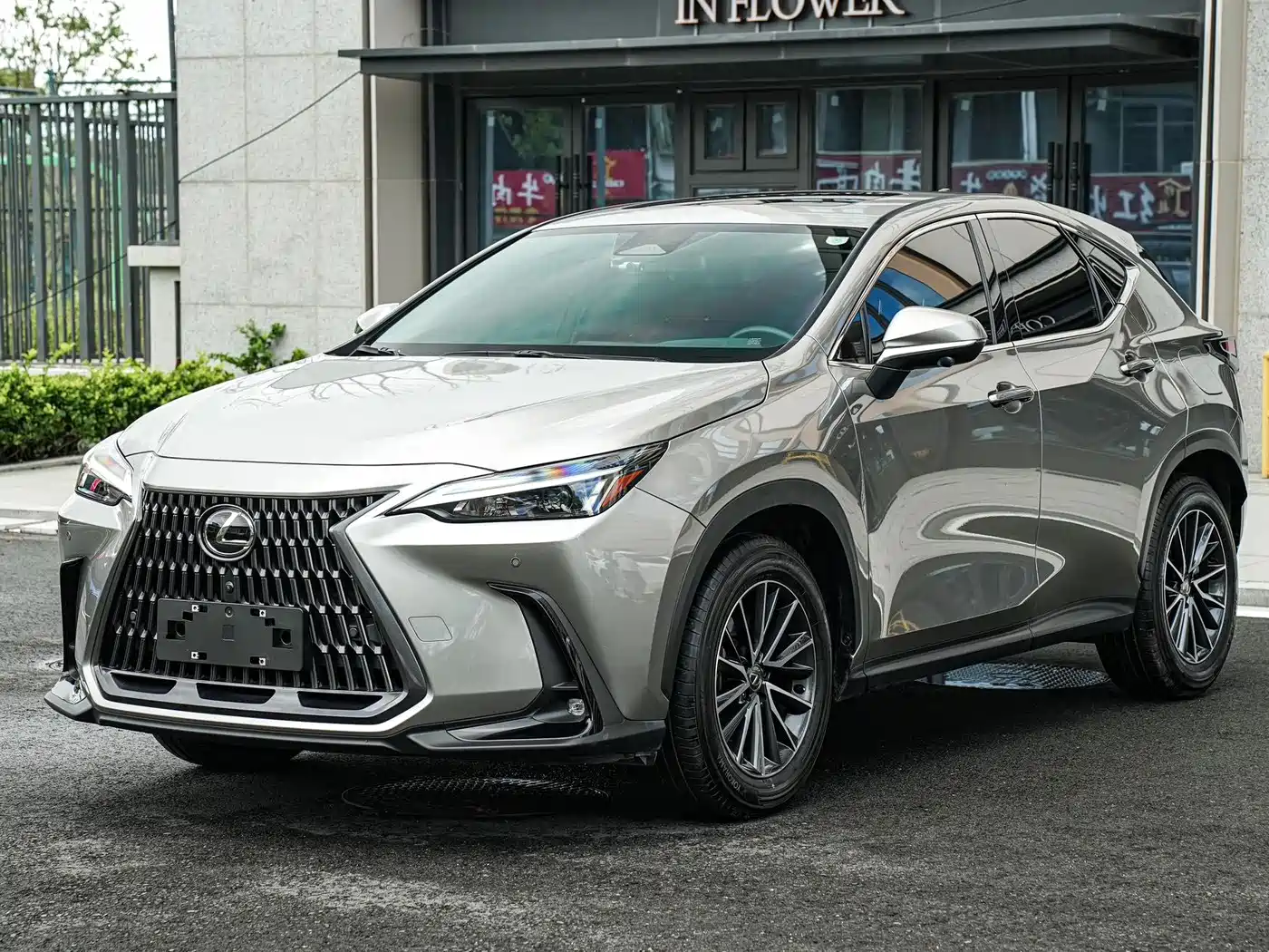 2024 Lexus NX