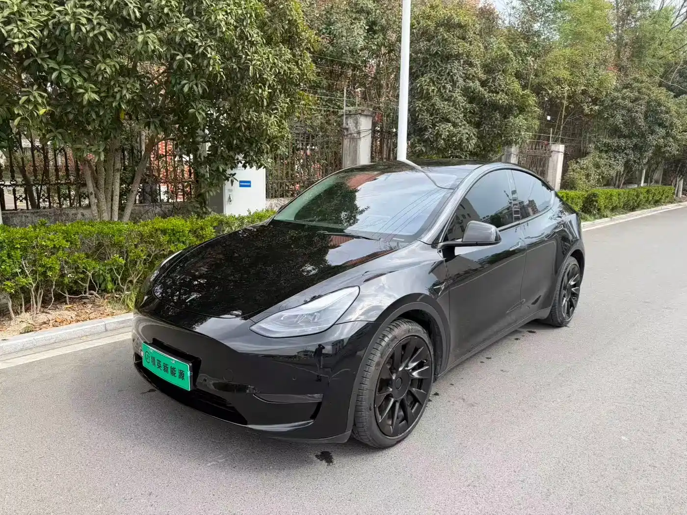 TESLA MODEL Y