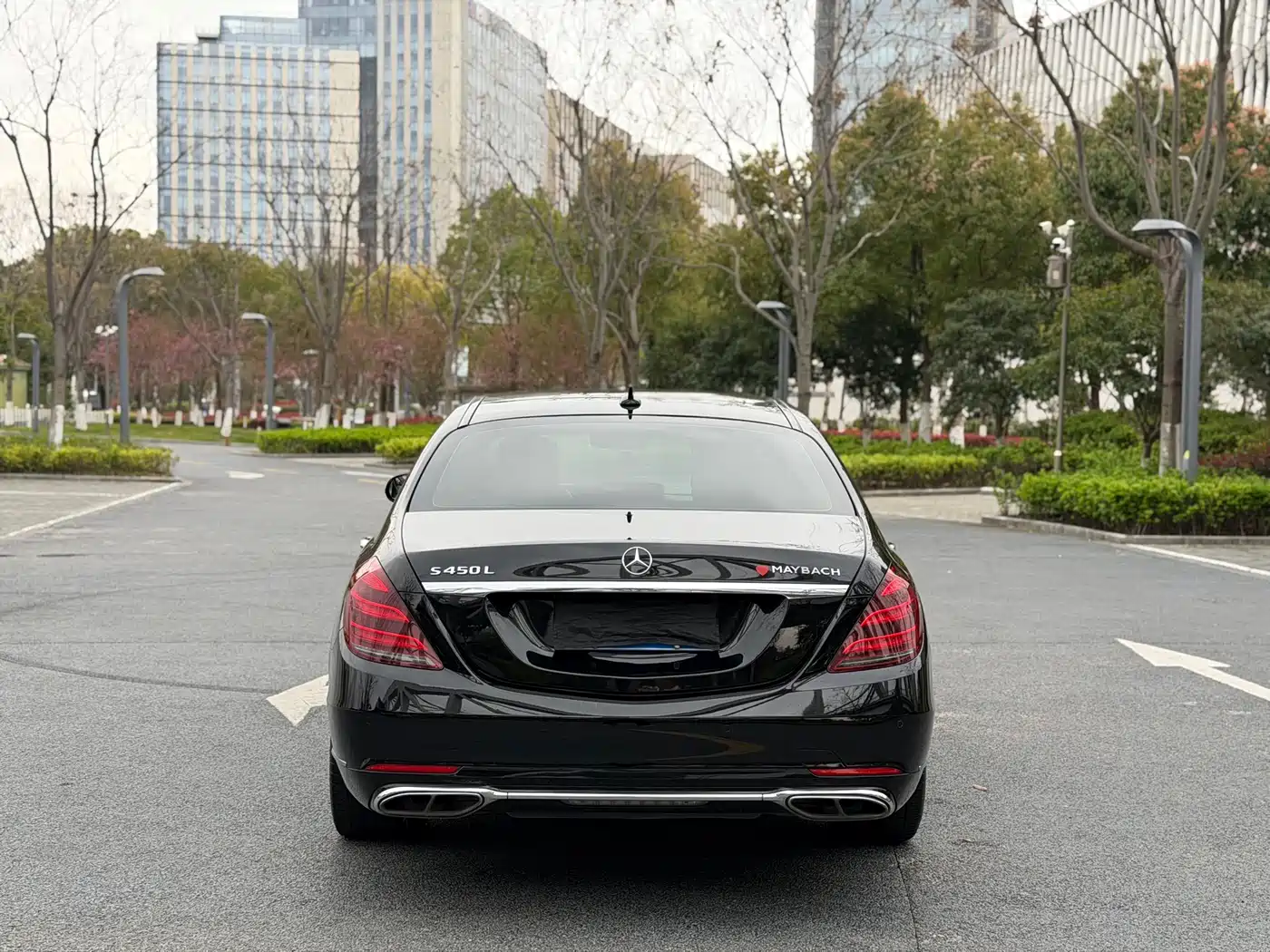 Mercedes-Benz S-Class 2020 S 350 L Business Edition Collector's Version фото 14