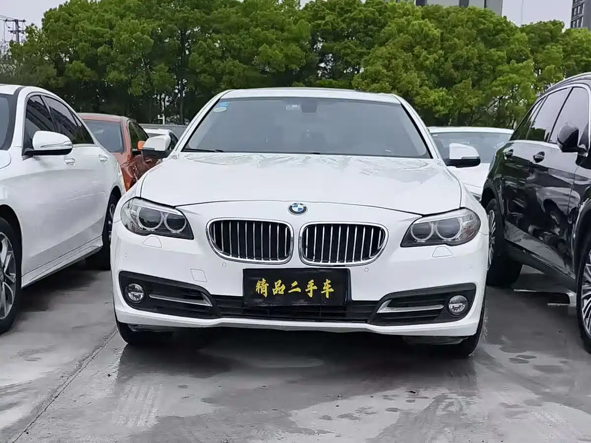 BMW 5 Series 2013 520Li Elegance фото 2