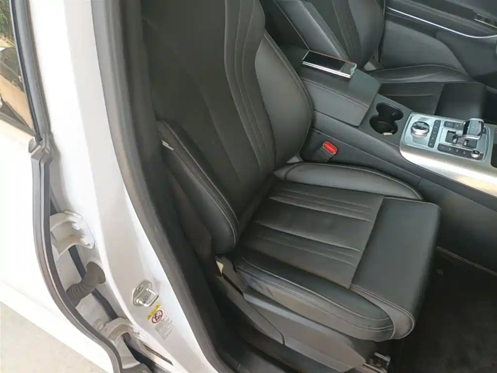 Denza X 2020 Pure Electric Classic Edition фото 25