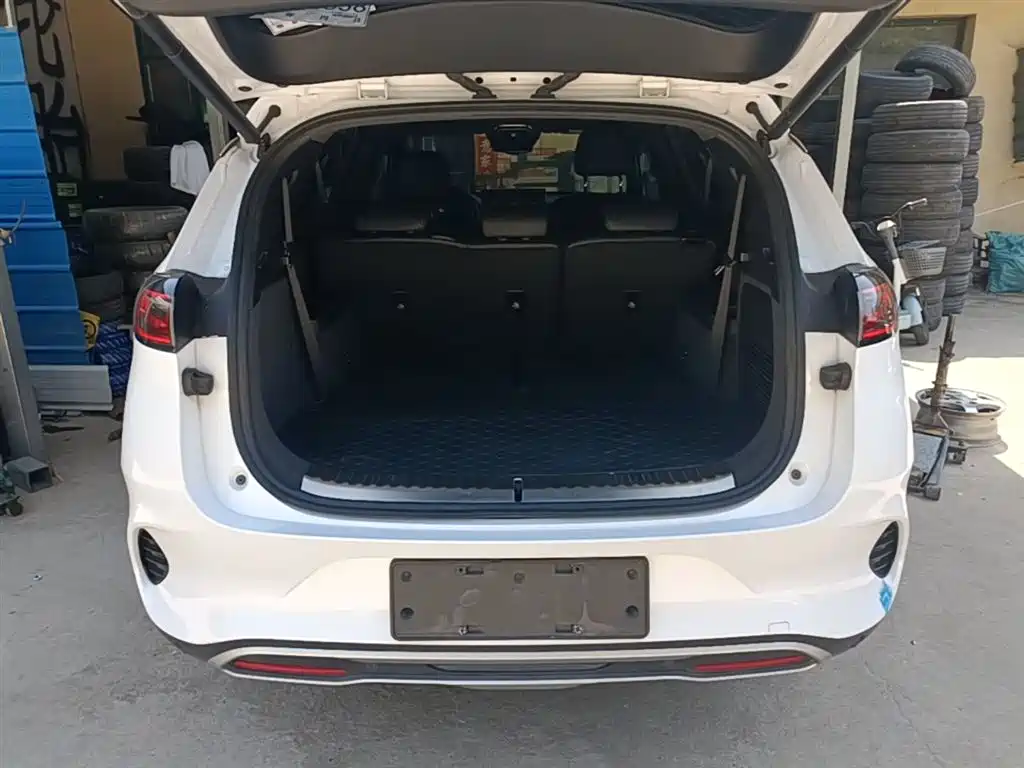 Denza X 2020 Pure Electric Classic Edition фото 19