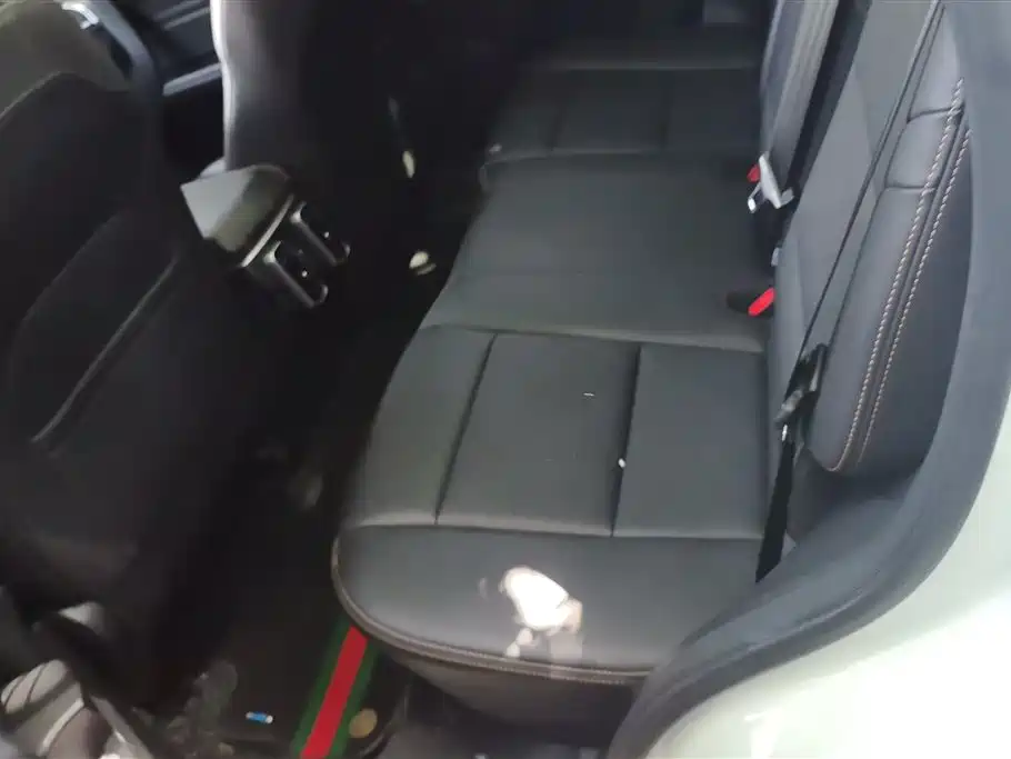 Haval Big Dog 2022 1.5T DCT FWD Labrador Edition фото 11