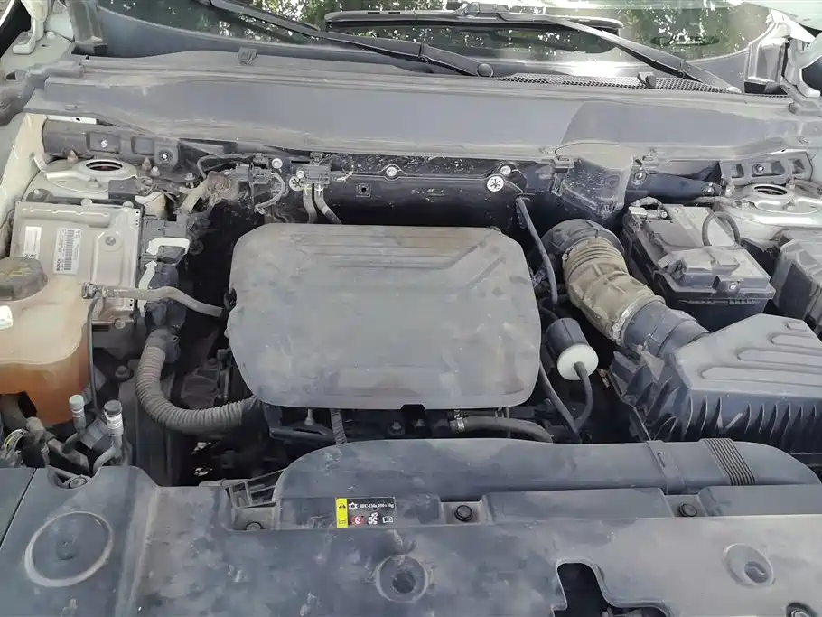 Haval Big Dog 2022 1.5T DCT FWD Labrador Edition фото 10
