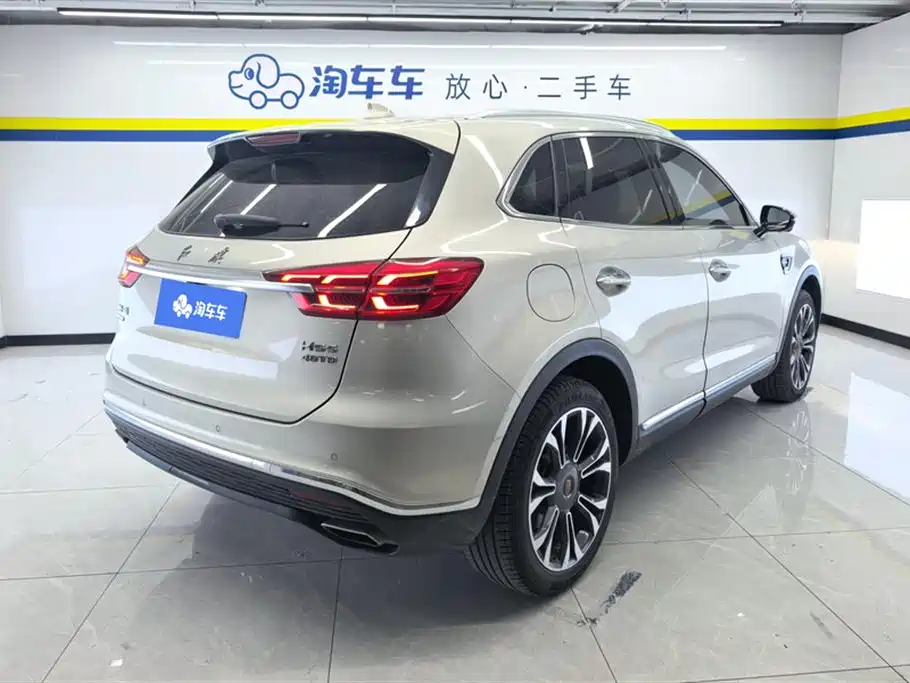 Hongqi HS5 2019 2.0T Smart Connect Enjoy 4WD Edition фото 3