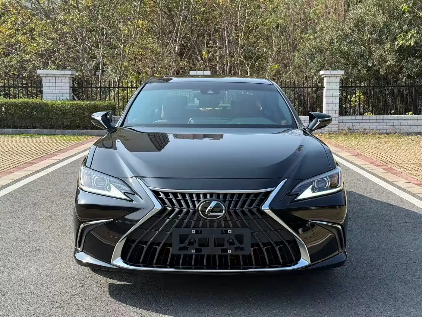 Lexus ES 2023 260 Excellence фото 2