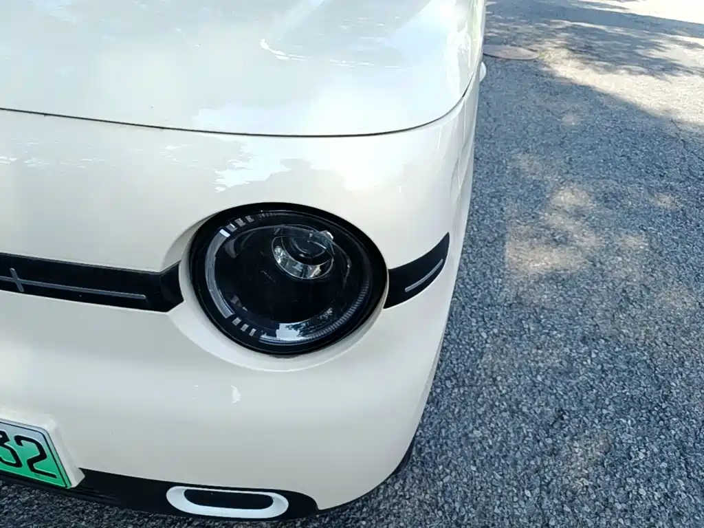 Фото 24 - Geely Galaxy Panda