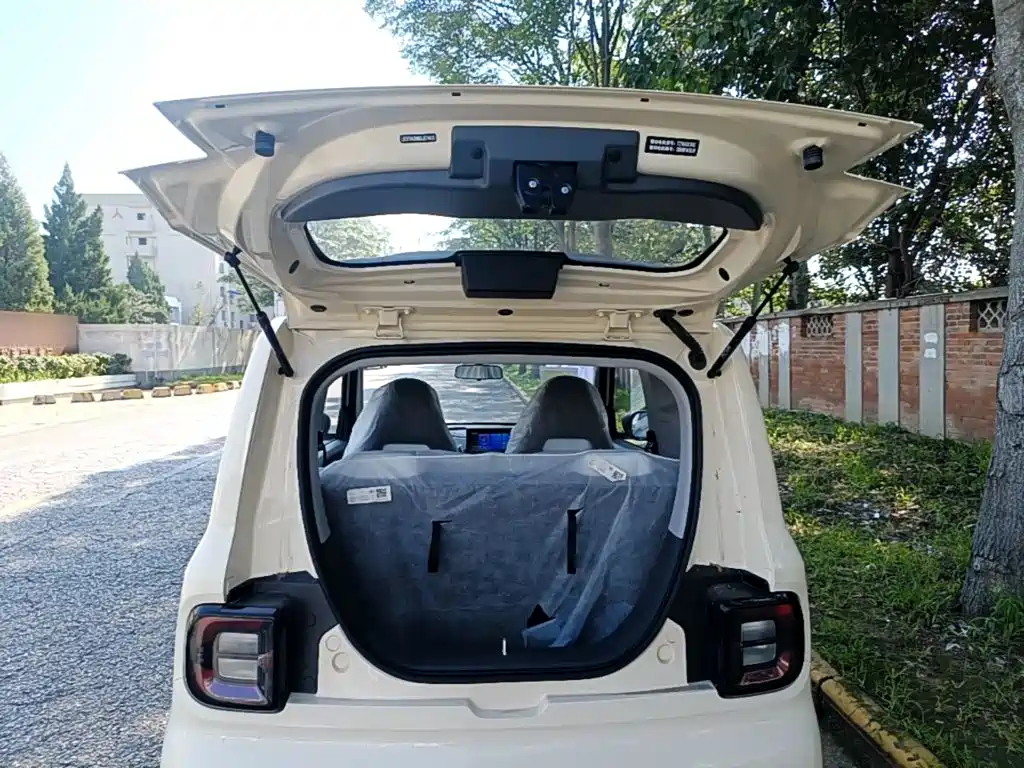 Geely Galaxy Panda 2026 2025 Panda mini 210km Vitality Bear