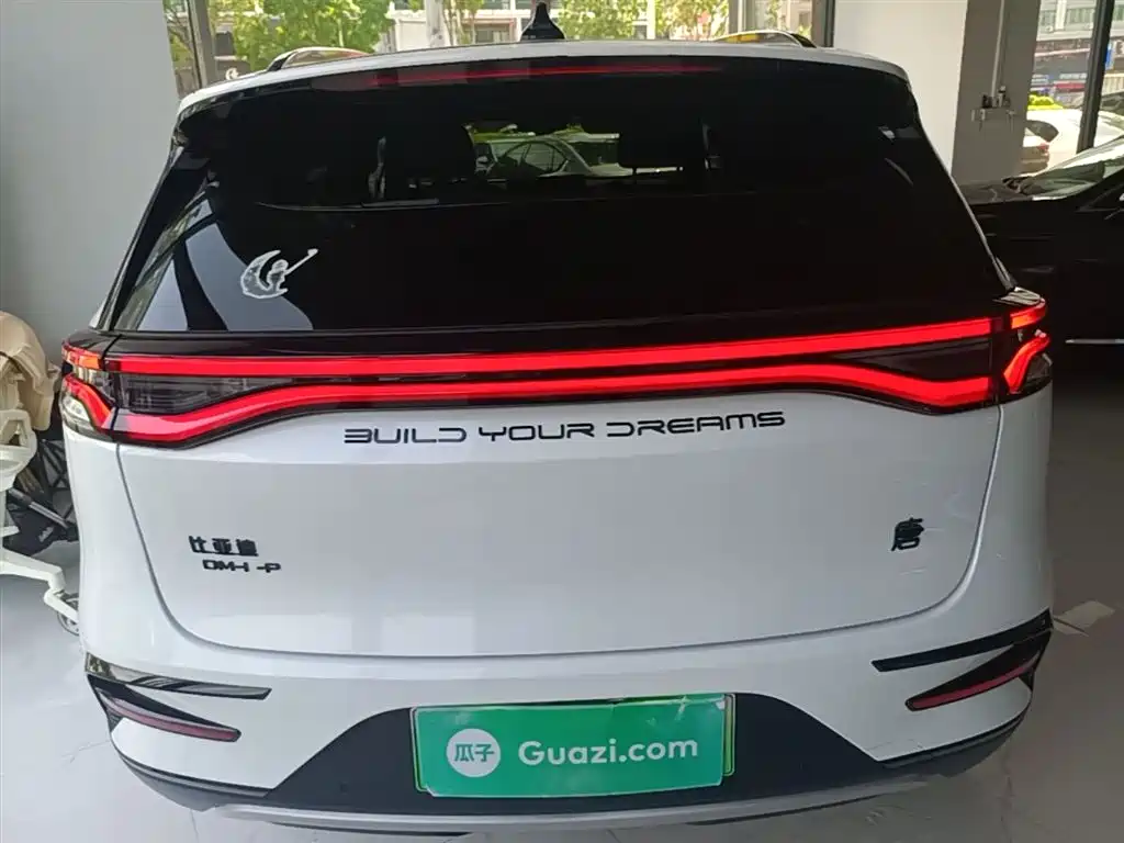 BYD Tang New Energy 2021 DM 2.0T AWD High Performance Premium фото 6