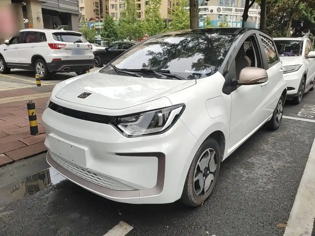 Sehol Flower Fairy 2022 2021 Jimei Edition 302km Luxury