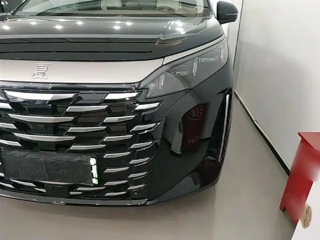 BYD Xia 2025 DM-i 1.5T 180km Surpass Edition фото 24
