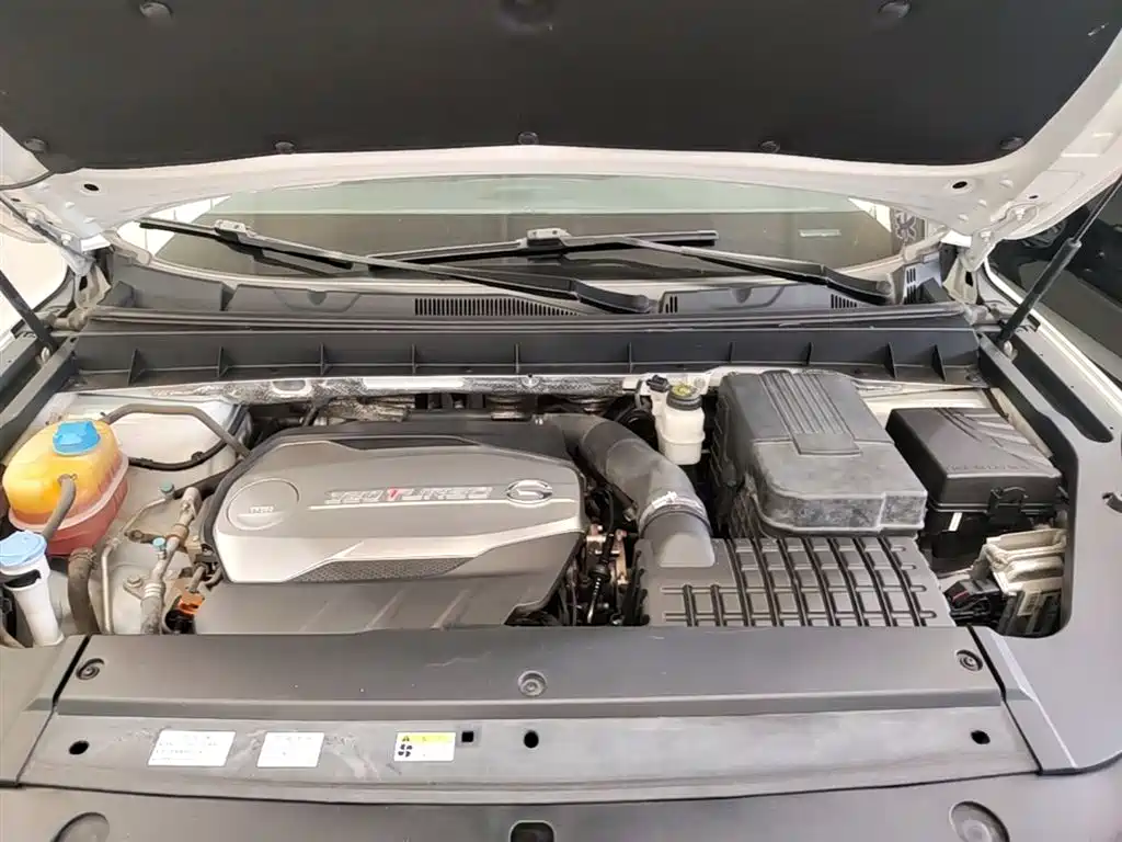 GAC Trumpchi Trumpchi GS8 2017 320T AWD Luxury Smart Connect (7-Seater) фото 20
