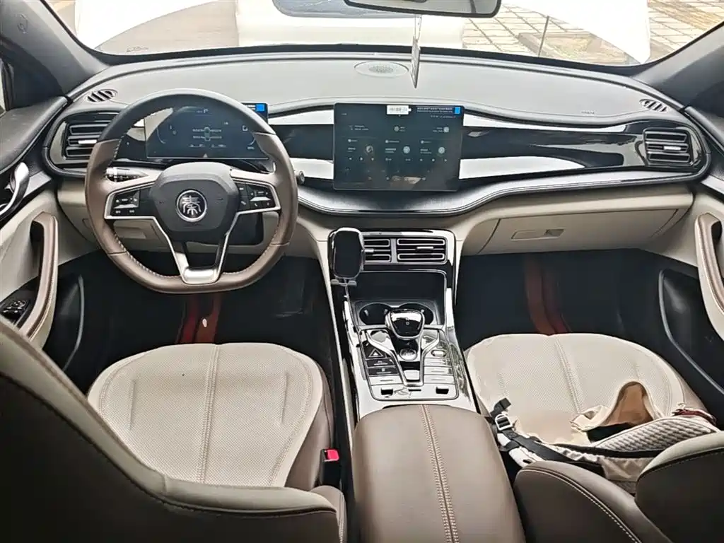 BYD Qin PLUS 2024 Glory Edition DM-i 55KM Leading фото 10