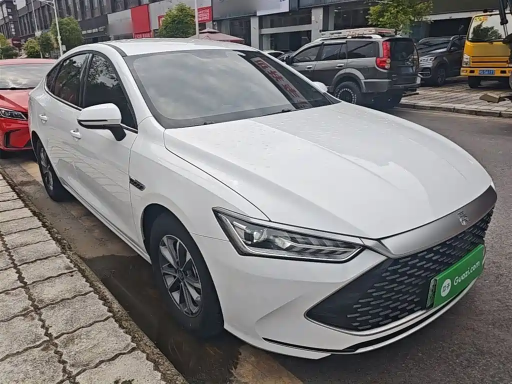 BYD Qin PLUS 2024 Glory Edition DM-i 55KM Leading фото 4