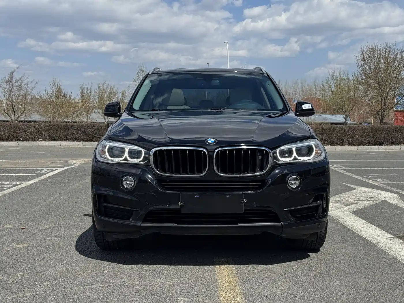 BMW X5 (Import) 2014 xDrive35i Luxury фото 2