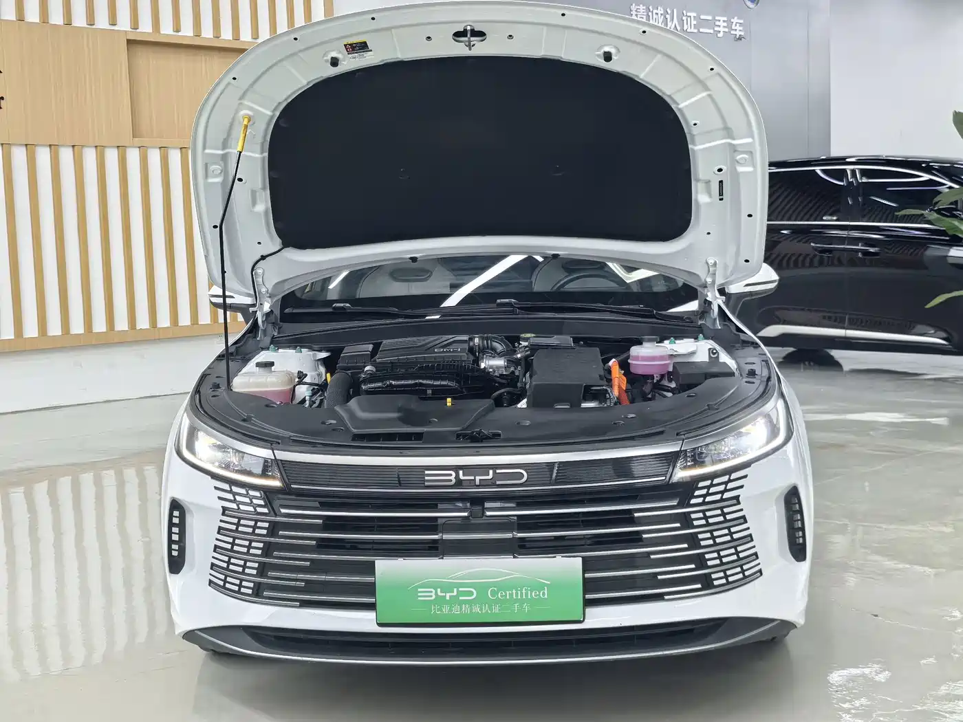 BYD Destroyer 05 2024 2024 Glory Edition DM-i 120KM Luxury