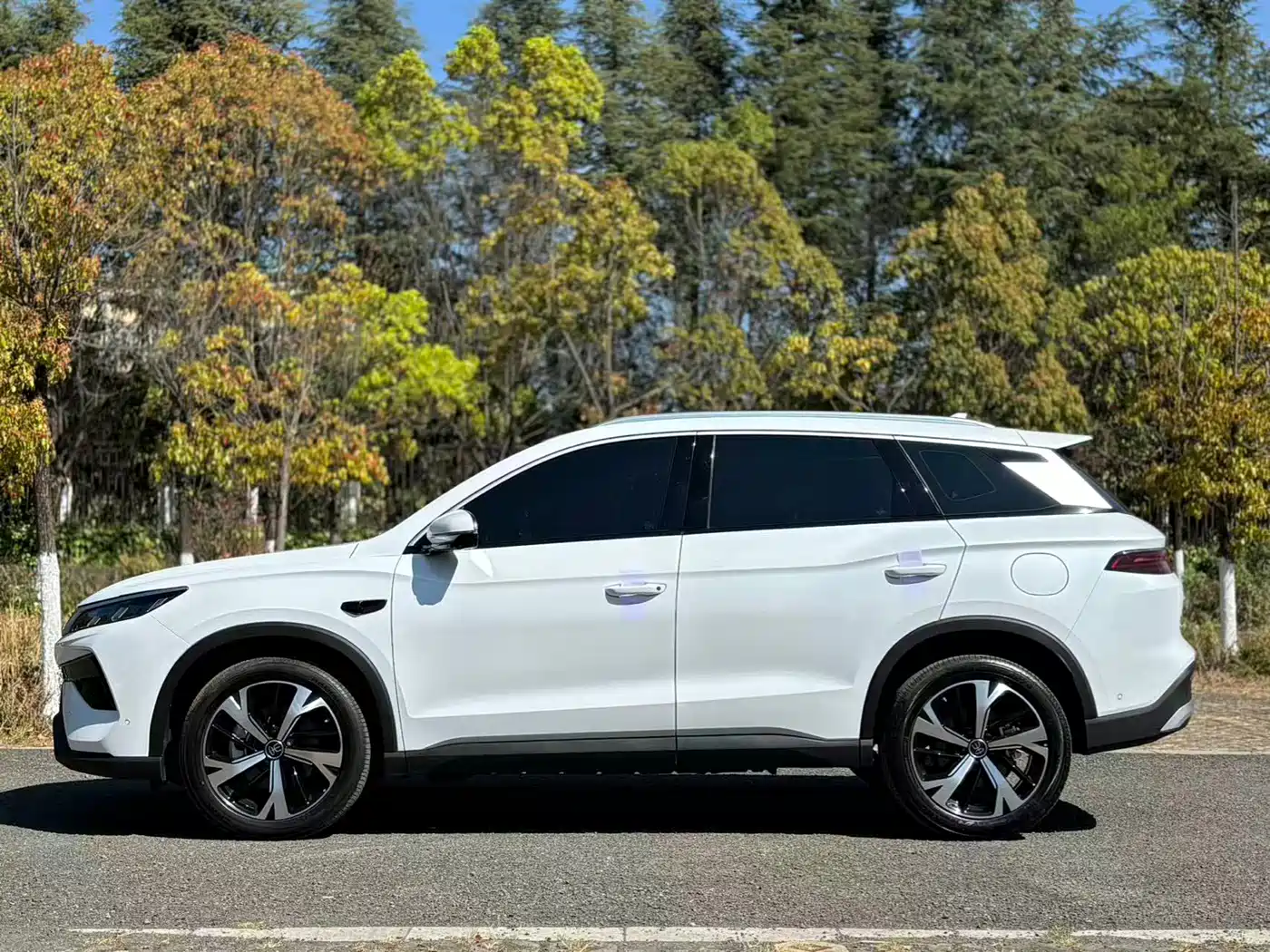 BYD SONGJIANG NEW ENERGY