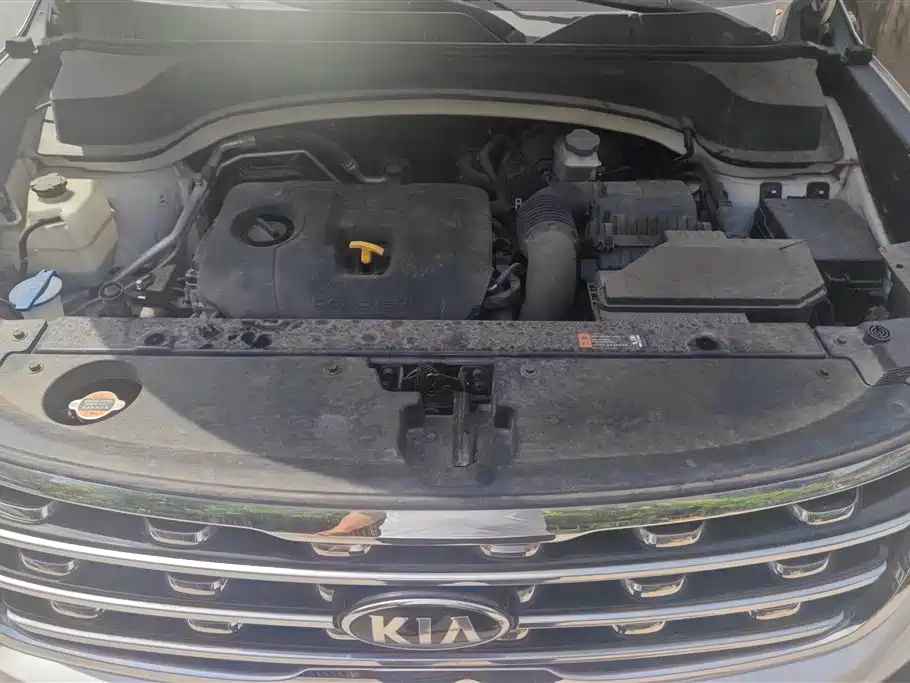 Kia Sportage 2019 2.0L Automatic Smart Luxury Edition фото 10