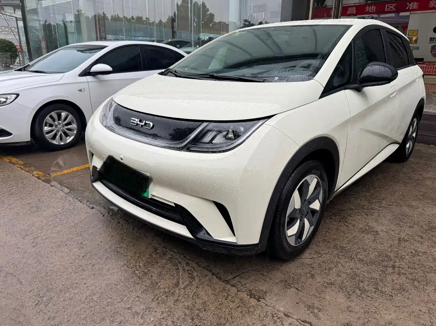 BYD Dolphin 2026 2025 420km Freedom Edition