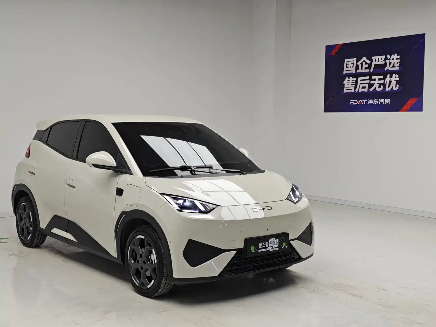 BYD Seagull 2026 2025 Smart Drive Edition 305km Freedom Version
