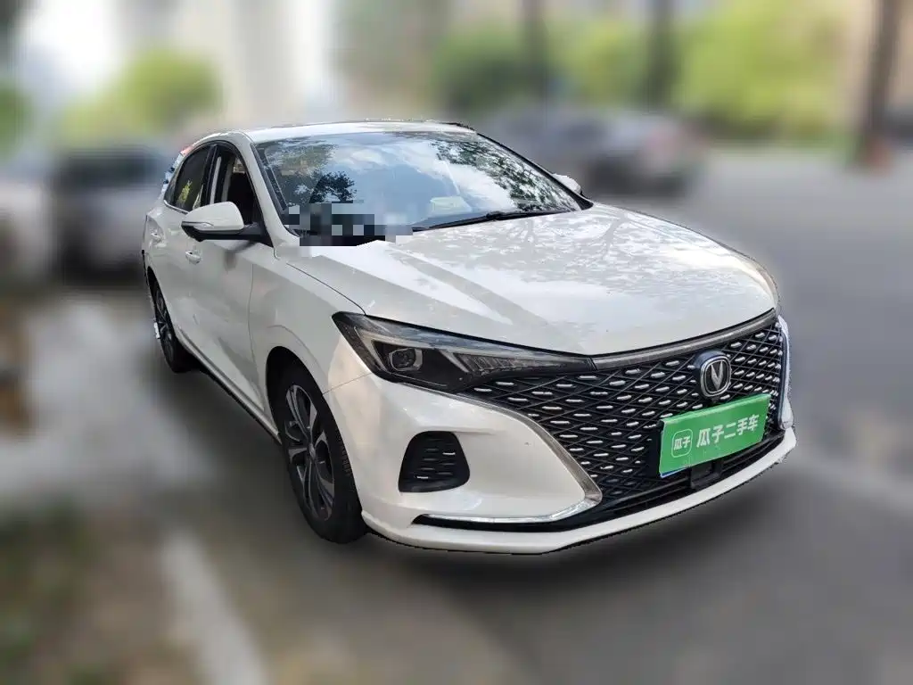 Фото 3 - Changan Eado