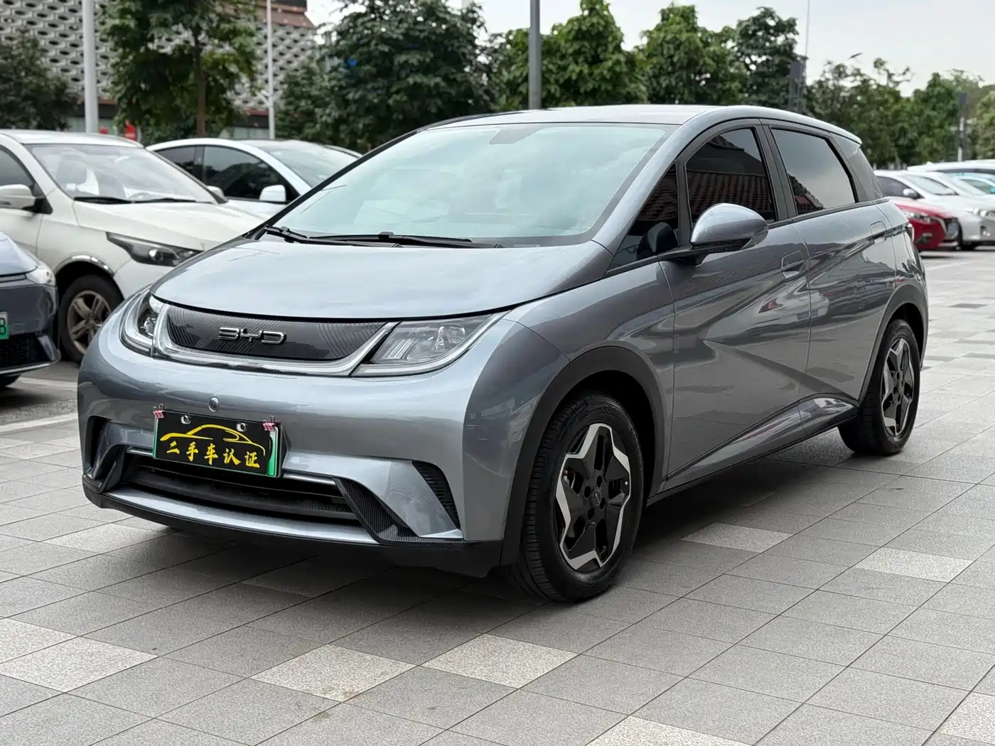 BYD Dolphin 2021 Model 405km Fashion Edition