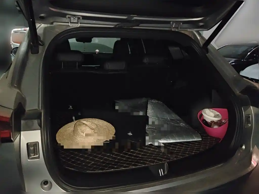 Haval Shenshou 2023 2022 1.5T Smart Enjoyment Edition
