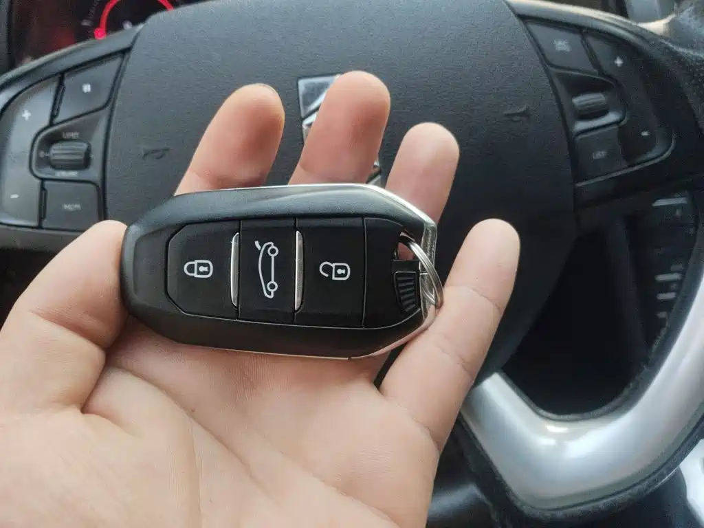 DS 6 2017 2016 1.6T Luxury THP160