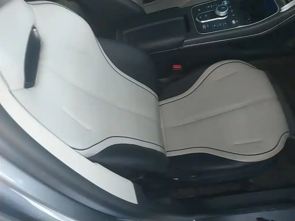 BYD Destroyer 05 2024 Glory Edition DM-i 55KM Luxury фото 25
