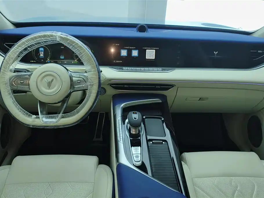 Voyah Auto VOYAH FREE 2021 AWD Standard Range Extender Exclusive Luxury Package фото 12