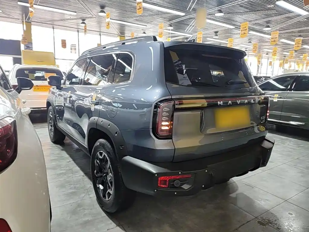 Haval Big Dog 2024 2.0T DCT Chinese Rural Dog Edition фото 5
