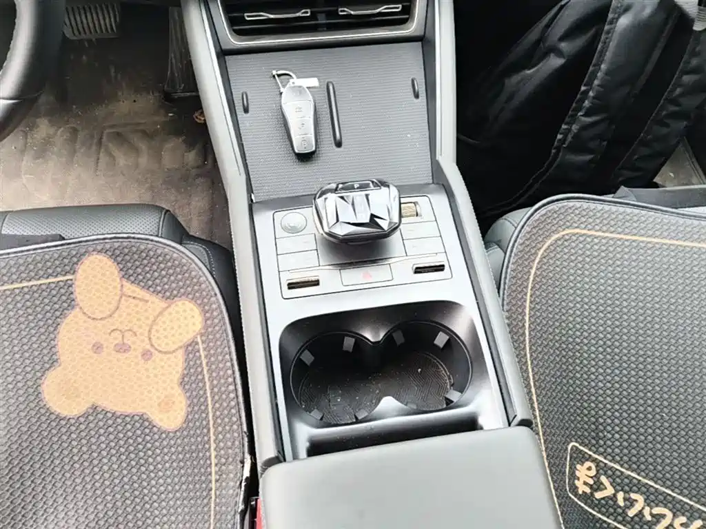 BYD Qin L 2024 DM-i 80KM Superior фото 14