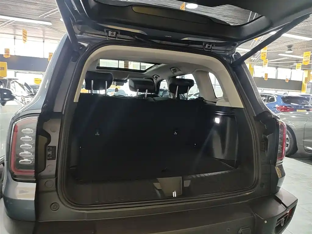 Haval Big Dog 2024 2.0T DCT Chinese Rural Dog Edition фото 19