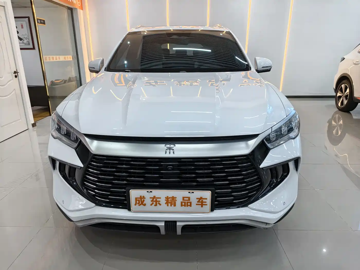 BYD SONGJIANG NEW ENERGY