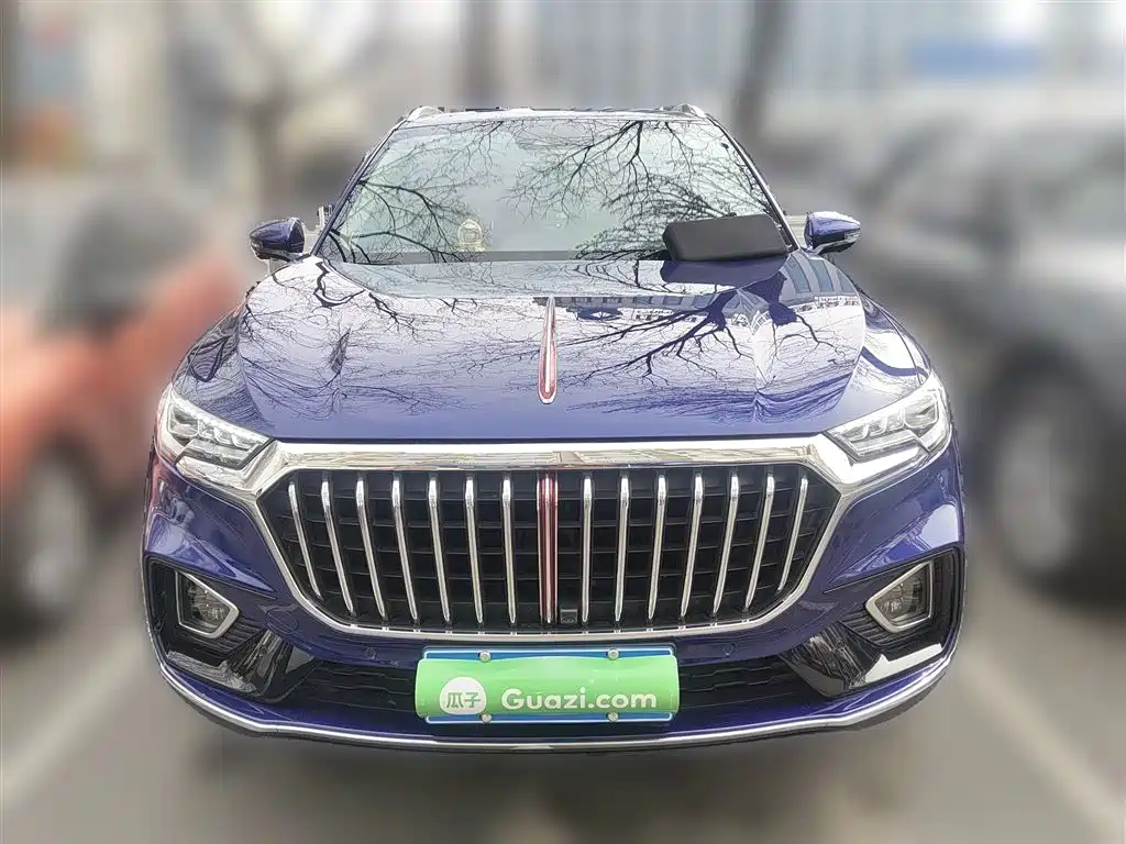 Hongqi HS5 2019 2.0T Smart Connect Enjoy 4WD Edition фото 24