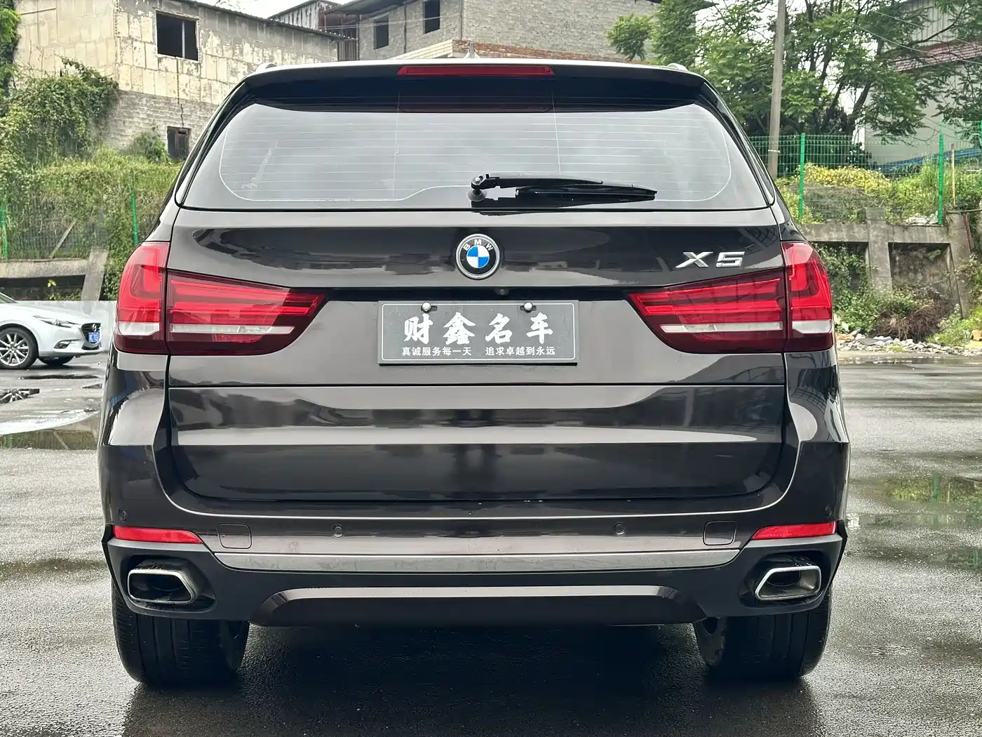 BMW X5 (Import) 2018 xDrive35i Elegant Model фото 11
