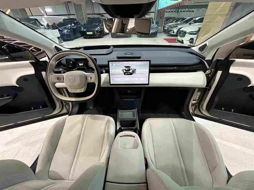 ZEEKR X 2023 2023 RWD YOU Edition 4-seater