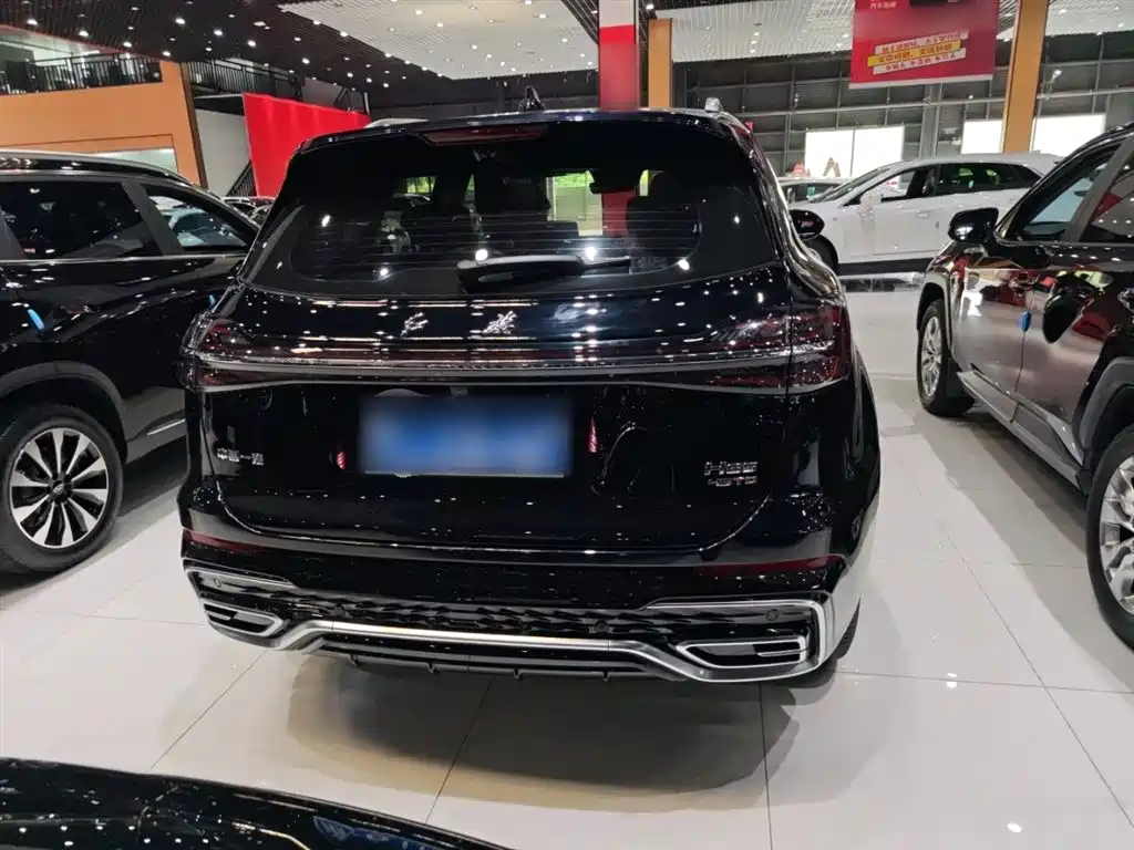 Hongqi HS5 2023 2.0T Flag Enjoy Pro Edition фото 12