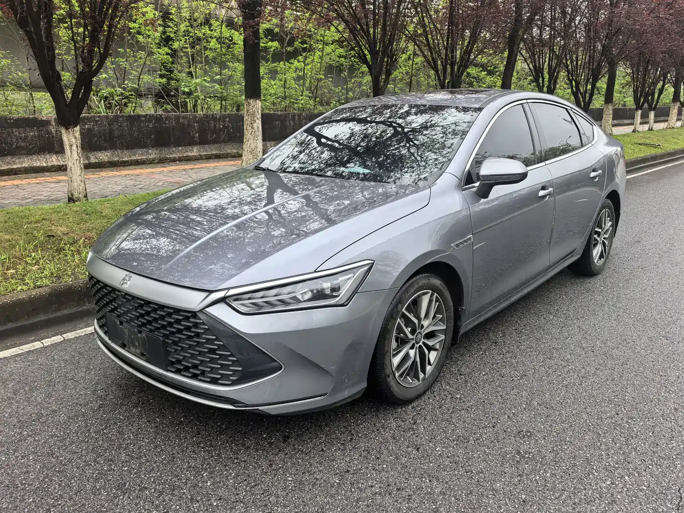 BYD Qin PLUS 2021